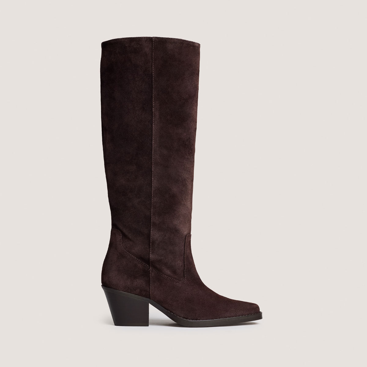 Bottes à bouts pointus